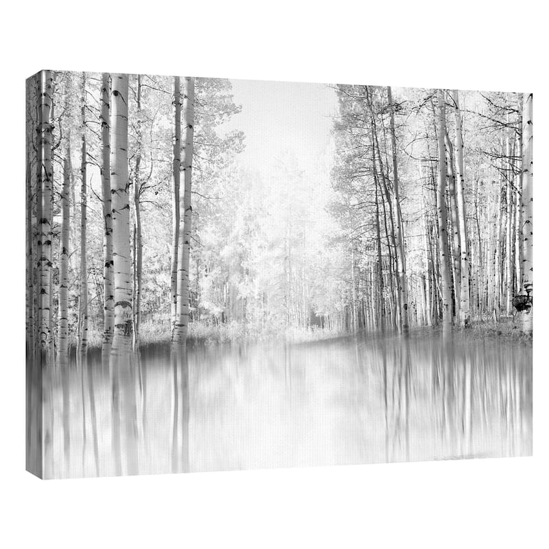 Aspen Reflection by Danita Delimont Canvas Art Print