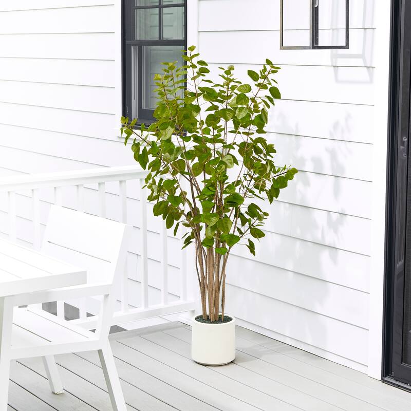 5' UV Potted Smoke Tree