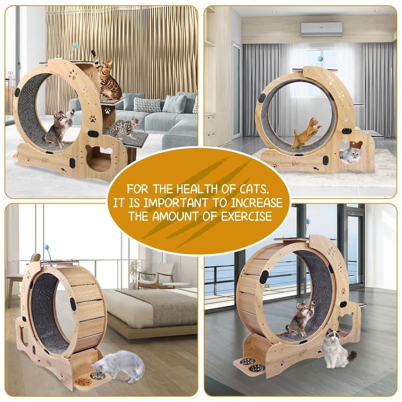 6-in-1 Upgraded Cat Wheel Exerciser for Indoor Cats