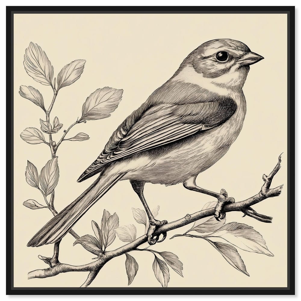 Bird's Gaze Canvas by Art Remedy