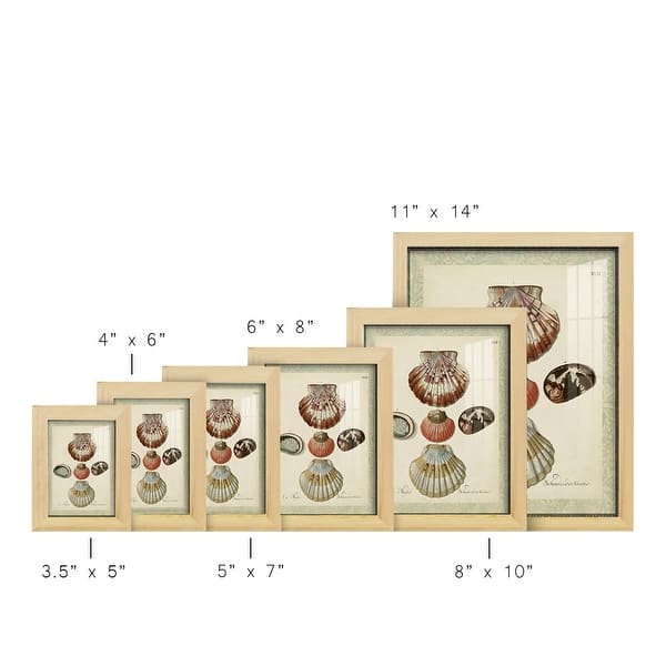 dimension image slide 3 of 10, Bookplate Shells III -Framed Print w/glass-Cherry Red