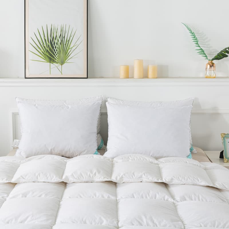 Waverly Antimicrobial Feather Pillow (Set of 2) - White