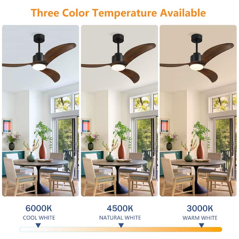 Ceiling Fan with Light Kit