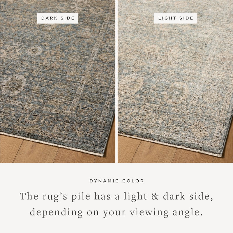 Alexander Home Paloma Traditional Area Rug