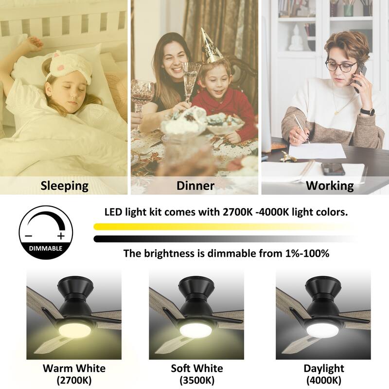 CARRO Jaiden 48" 3-Blade Smart Ceiling Fan with LED Light and Remote-Flush Mount
