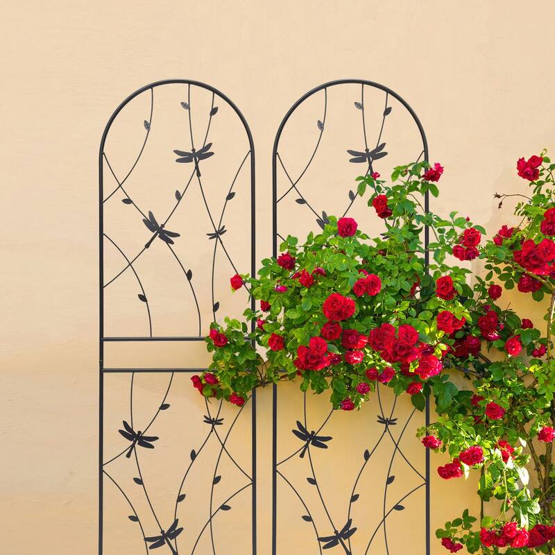 2 Pack Metal Garden Trellis 71in x 19.7in Rustproof Trellis