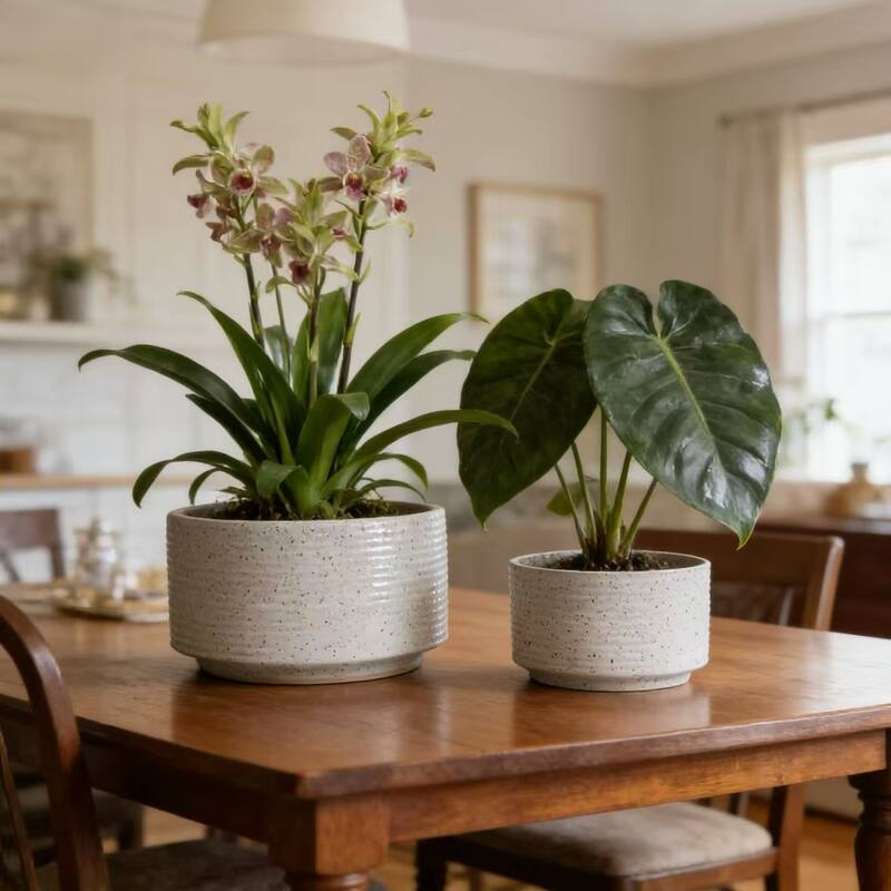 Set of 2 Vertical Ridges Ceramic Aquatic Planters Pot for Hydroponics - Milk White