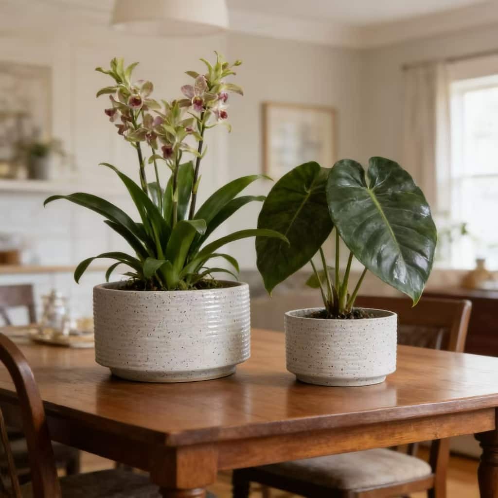 Set of 2 Vertical Ridges Ceramic Aquatic Planters Pot for Hydroponics