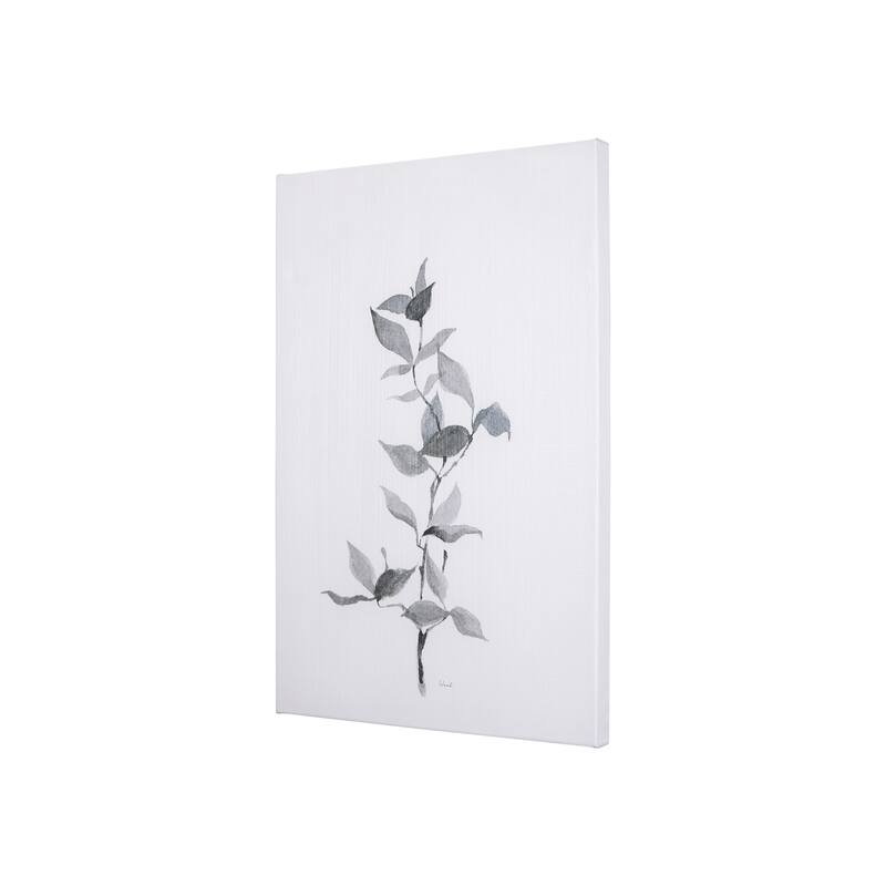 Leaf Shadow II (24 x 36 ) Canvas Art Print