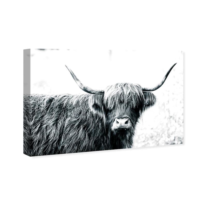 Wynwood Studio Canvas Animals Highland Cow Black and White White and Farmhouse Wall Art Canvas Print