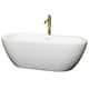 Option White, Shiny White Trim & Brushed Gold Faucet