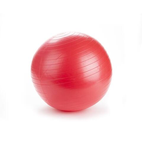 Mind Reader 65A Anti-Burst Exercise Yoga Ball with Pump Stability Balance - 25.59" x 25.59" x 25.59"