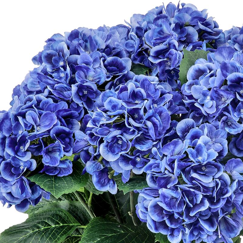 22" Potted Garden Hydrangea