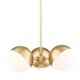 Option Modern Gold