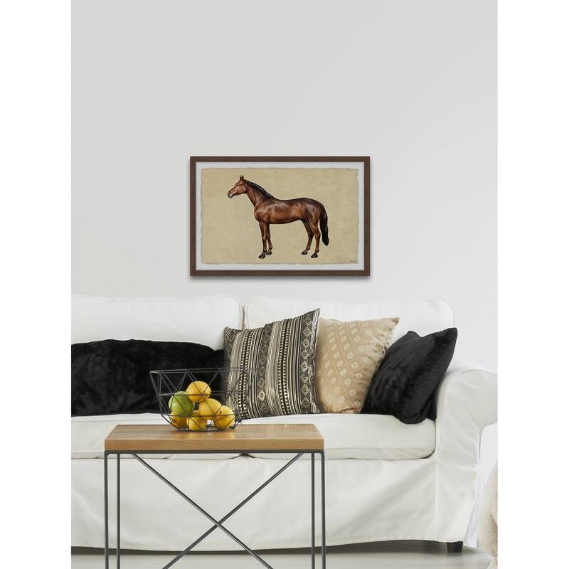 Shiny Coat Framed Print