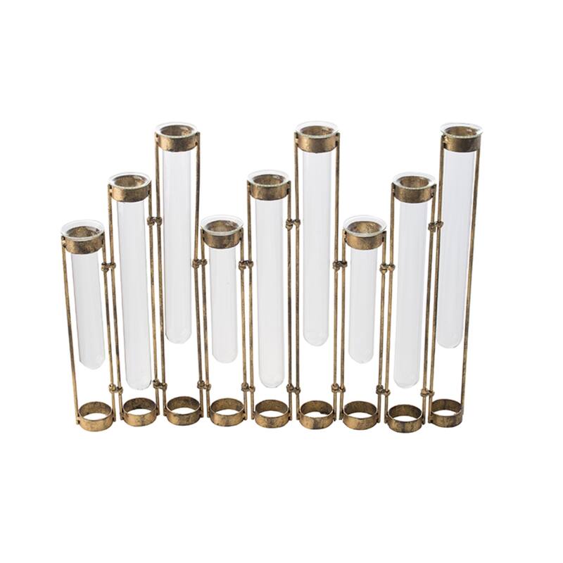 Glass Vial Flower Vase with Iron Frame - 17.75"