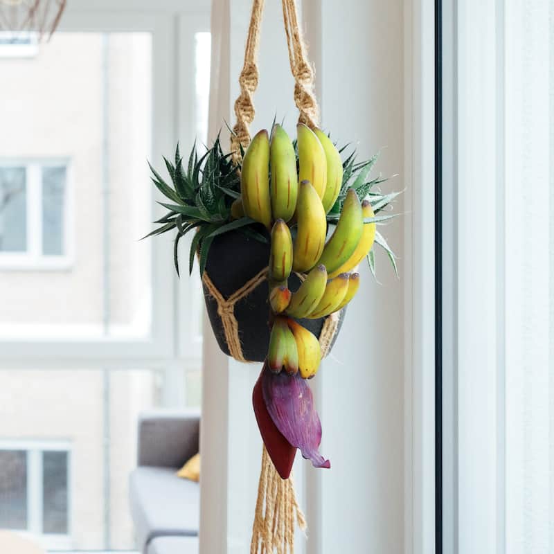 Set of 2 Artificial Banana Cluster Prop Fruit Decor Accent Piece 11in - 11" L x 4" W x 4.5" DP