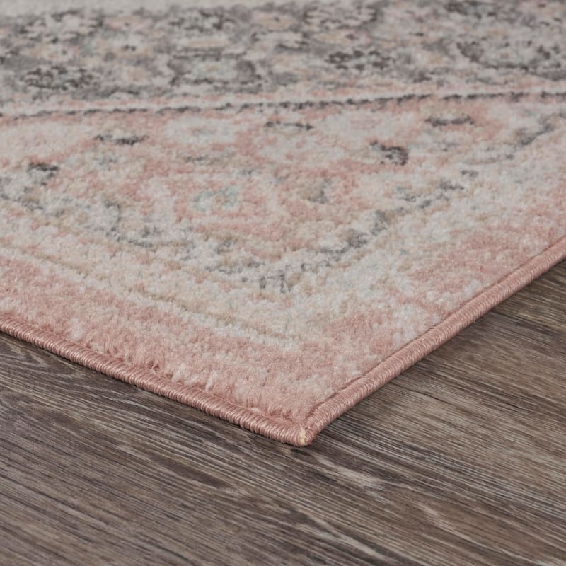 Sevita Soft Pink and Gray Oriental Area Rug