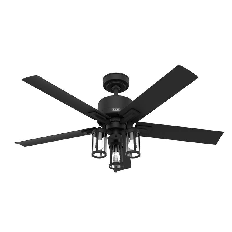 Hunter 52" Lawndale Ceiling Fan with LED Light Kit and Pull Chain, Damp-Rated - Indoor-Outdoor