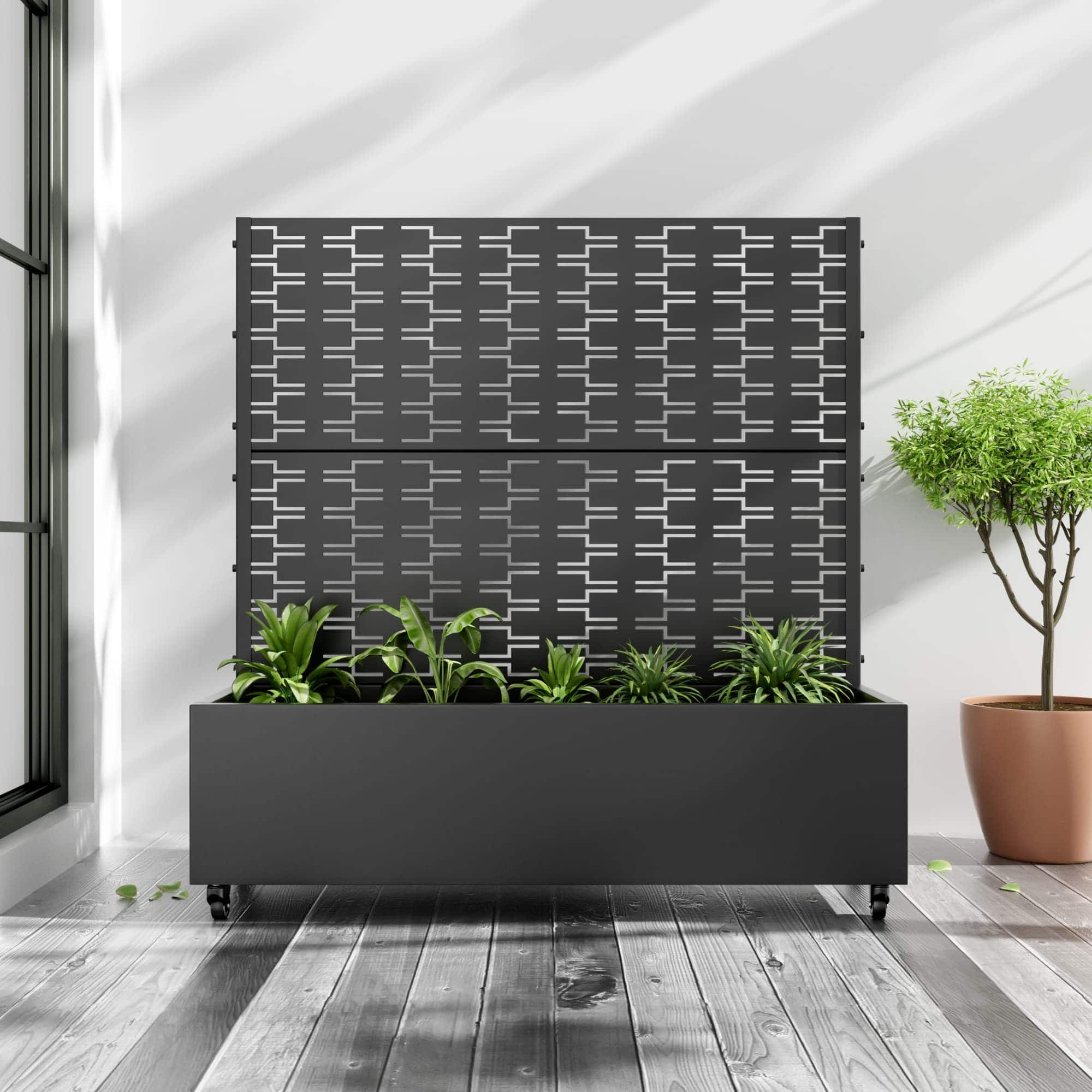 Option Black-Rectangle