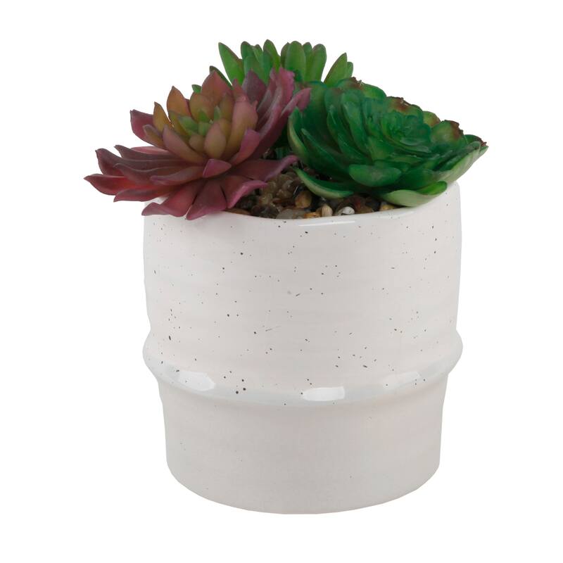 Artificial Plant Succulent Mix in Two Tone Ceramic Planter,Cream/Beige - ONE-SIZE
