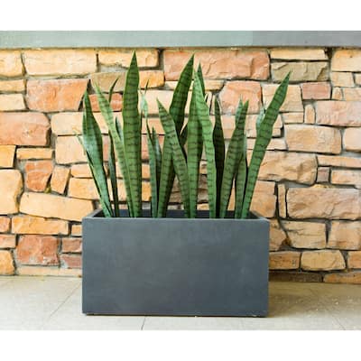 23"L Rectangular Charcoal Concrete/Fiberglass Indoor Outdoor Elegant Planter - 23"L x 12"W x 12"H