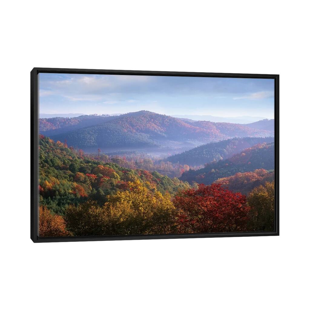 iCanvas "Autumn Deciduous Forest From The Blue Ridge Parkway, North Carolina" by Tim Fitzharris Framed Canvas Print
