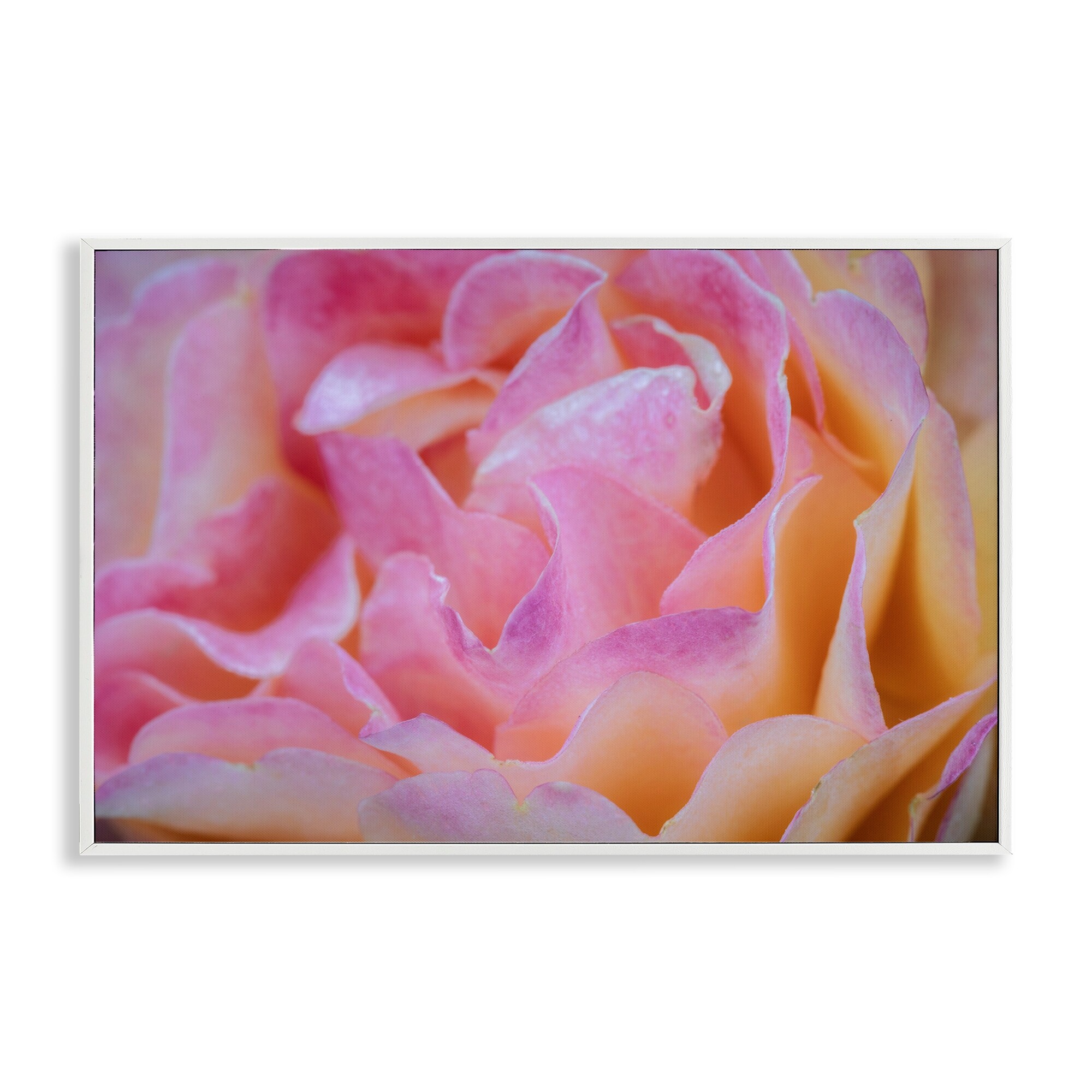Stupell Pink Floral Petals Palette Framed Giclee Art Design By James Rodewald