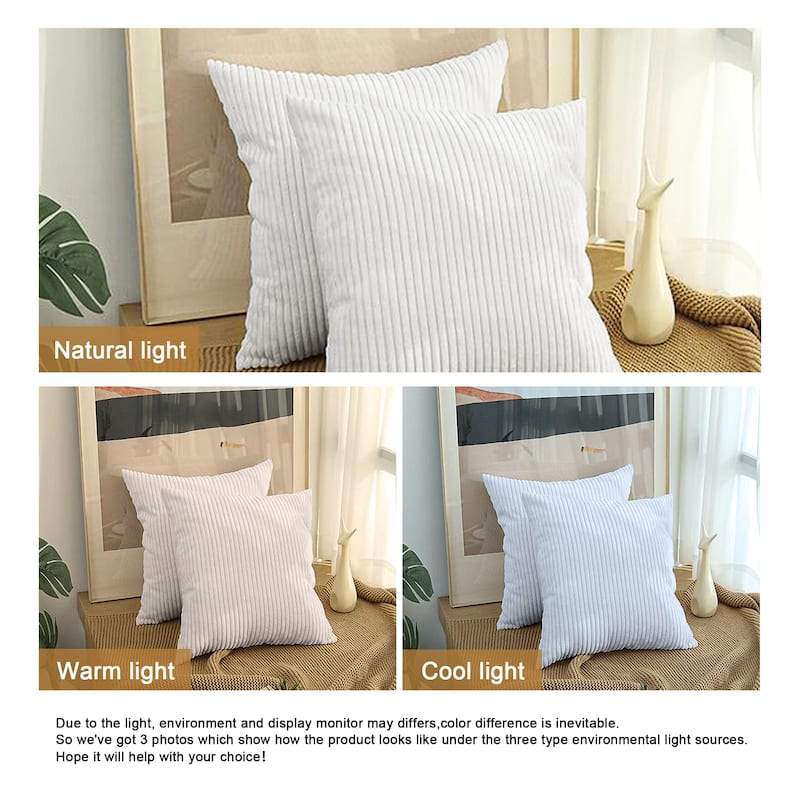 Set of 2 Modern Decorative Soft Corduroy Throw Pillows
