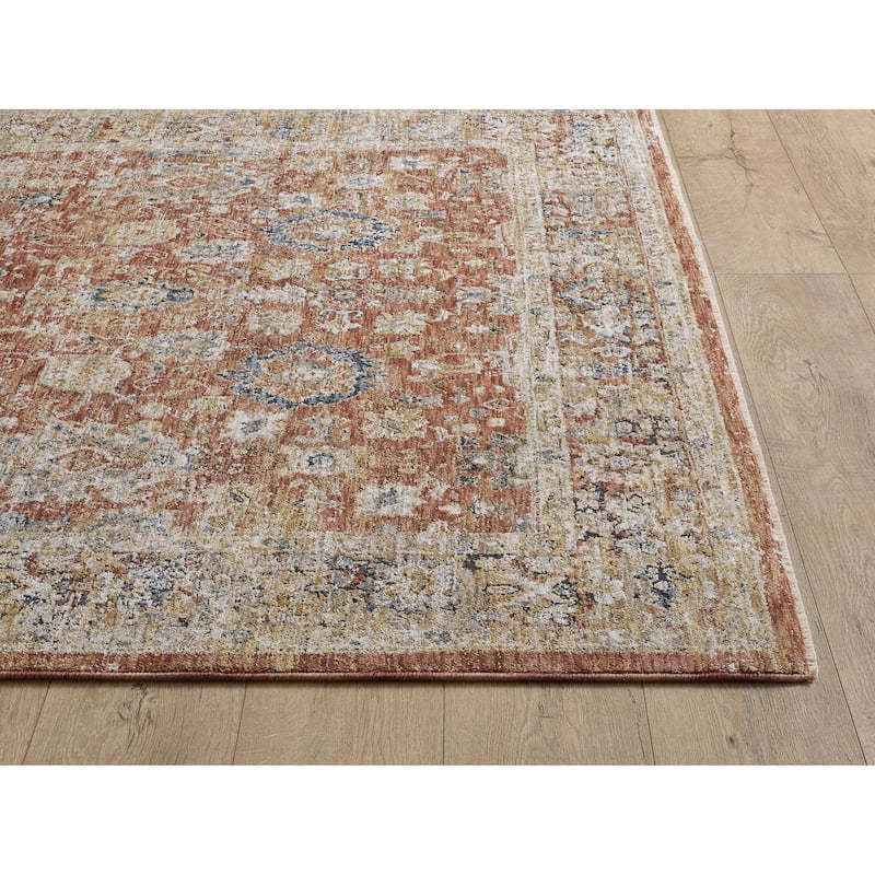 Domani Opulence Distressed Vintage Area Rug