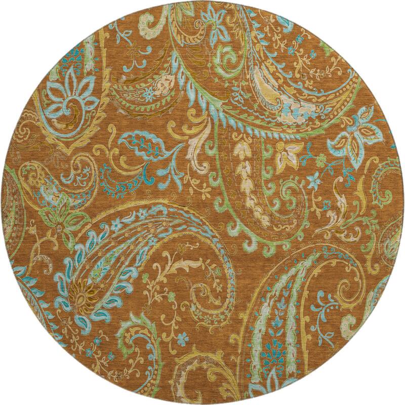 Premium Washable Super Soft Traditional Paisley Mayfield Rug