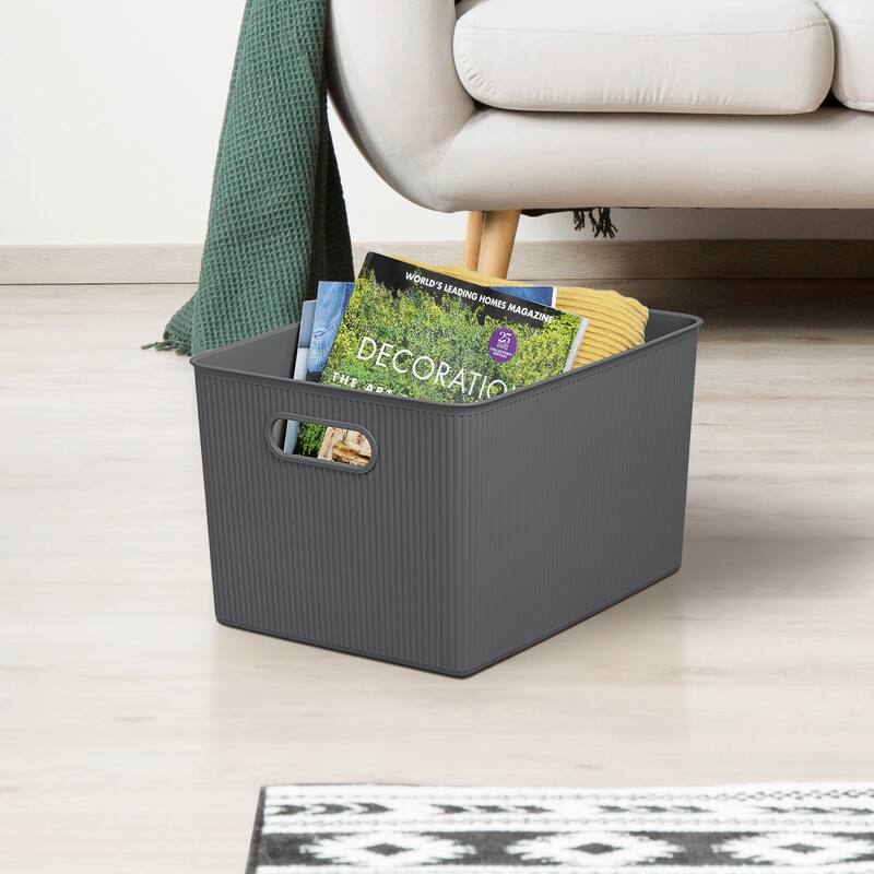 22 L Ribbed Storage Bin