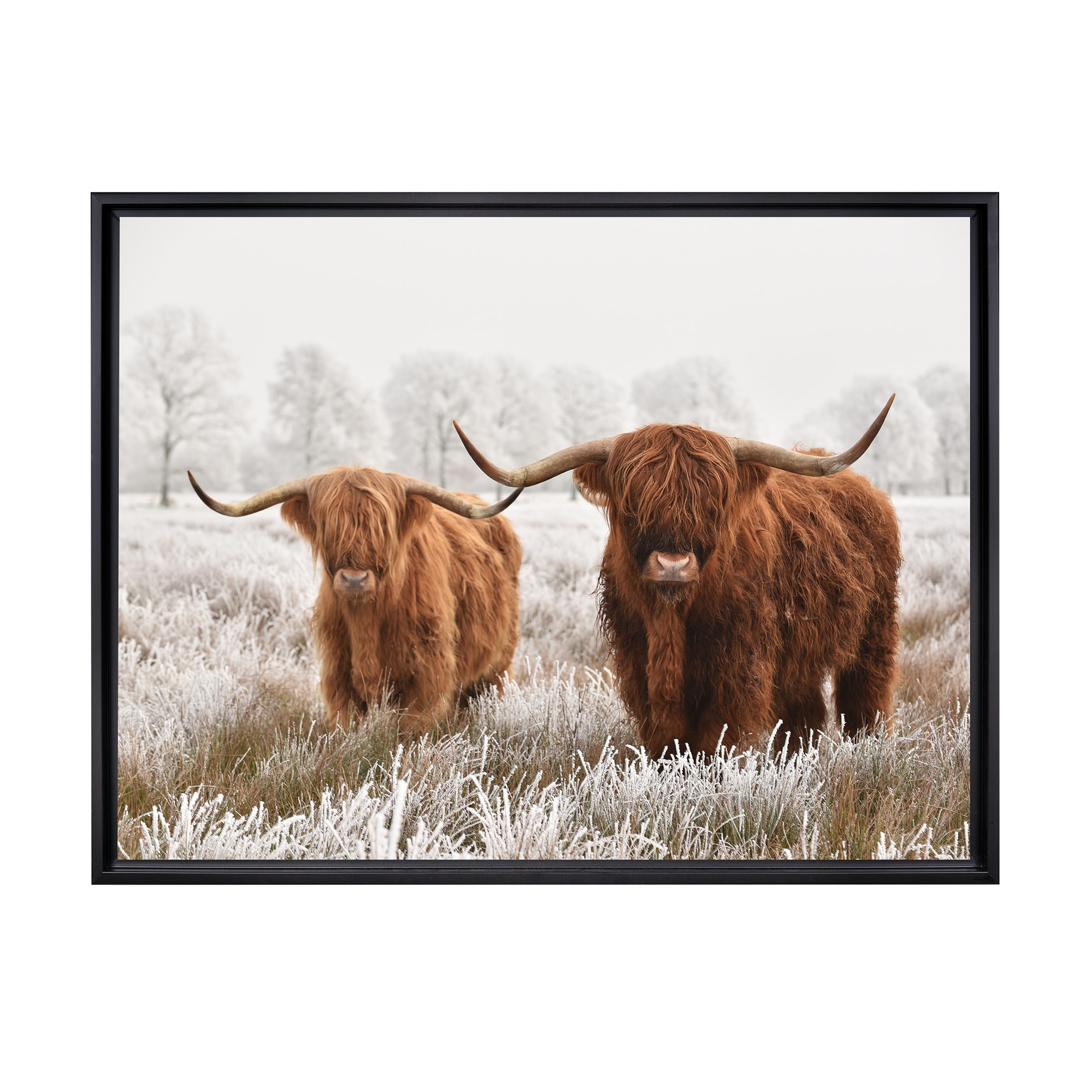 Stratton Home Decor Highland Cattle Framed Canvas Wall Art Black Bed  Bath  Beyond 37855470