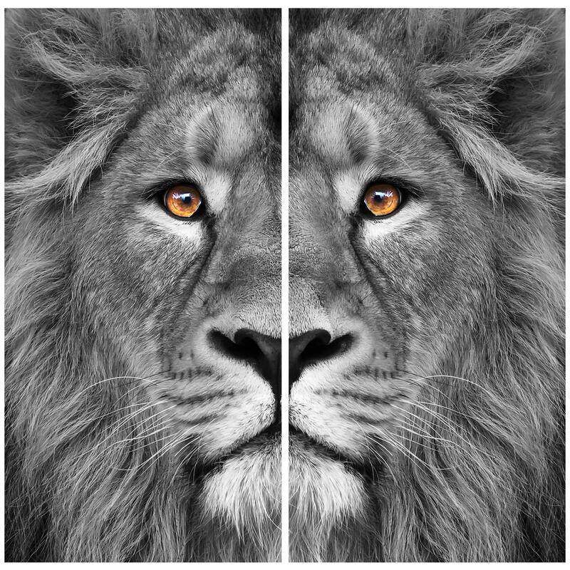 "King of the Jungle AB" Frameless Free Floating Tempered Glass Panel Graphic Wall Art