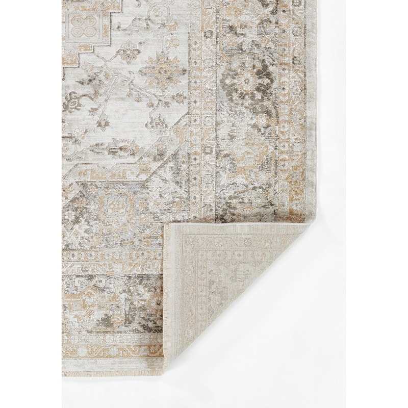 Momeni Cambridge Viscose Medallion Area Rug
