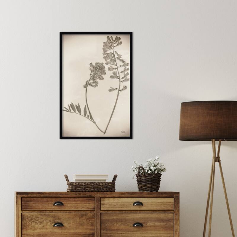 Wildflower Journal Vintage No. 6 by Nathan Larson Wood Framed Wall Art Print