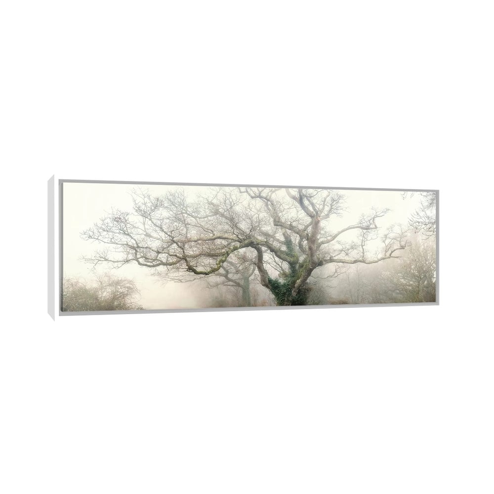 iCanvas "Panoramic Octopus Ghost Oak" by Philippe Manguin Framed Canvas Print