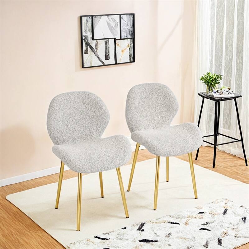 Teddy Velvet Dining Chairs Set of 2 with Sturdy Gold Metal Legs
