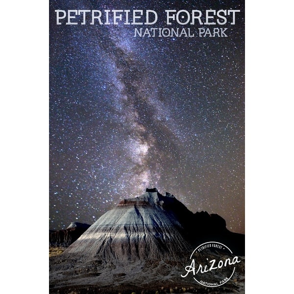 Shop Petrified Forest National Park Arizona Painted Desert