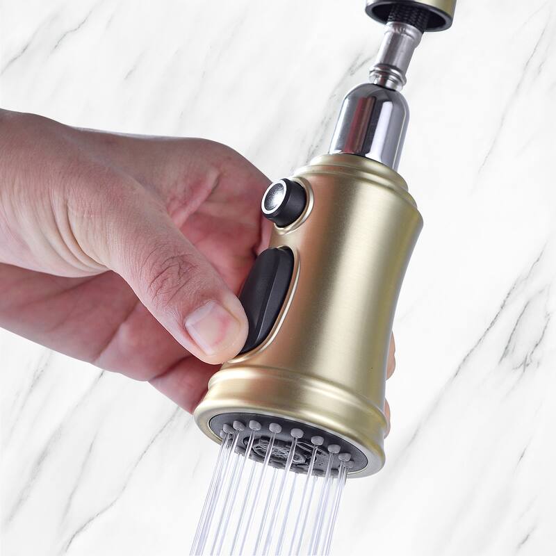 Transitional Bridge Kitchen Faucet with Pull-Down Sprayhead, Double Handle Kitchen Sink Faucet