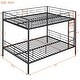preview thumbnail 42 of 44, Metal Bunk Bed