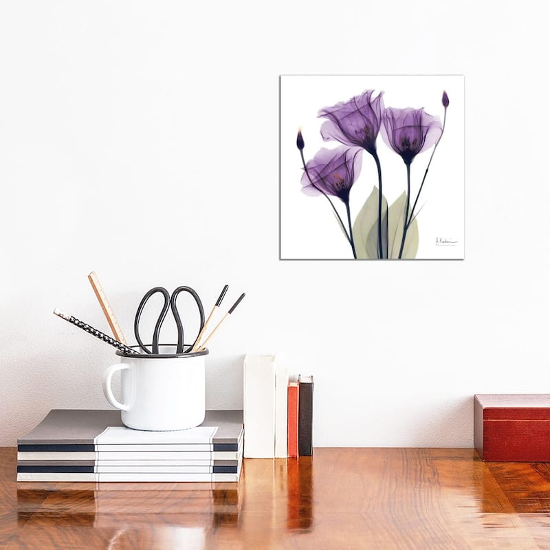 iCanvas "Gentian Hope" by Albert Koetsier Canvas Print - 12x12x0.75