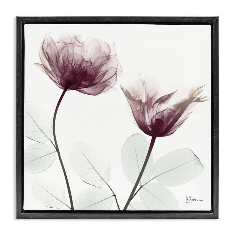 Stupell Minimalist Translucent Flowers Framed Floater Canvas Wall Art Design By Albert Koetsier - 18 x 18 - Black