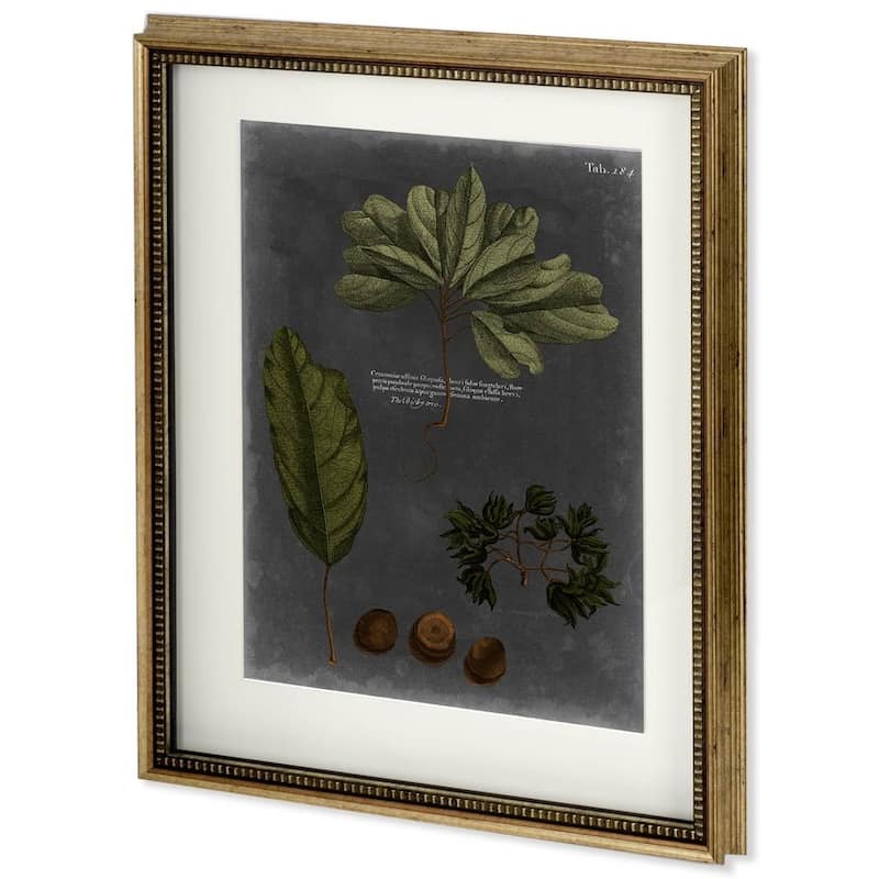 Foliage Dramatique VI Framed Art Print