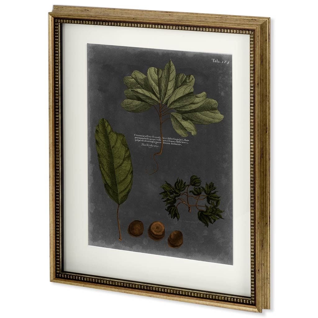Foliage Dramatique VI by Vision Studio Hand Embellished Textured Framed Art Print Matted under Glass