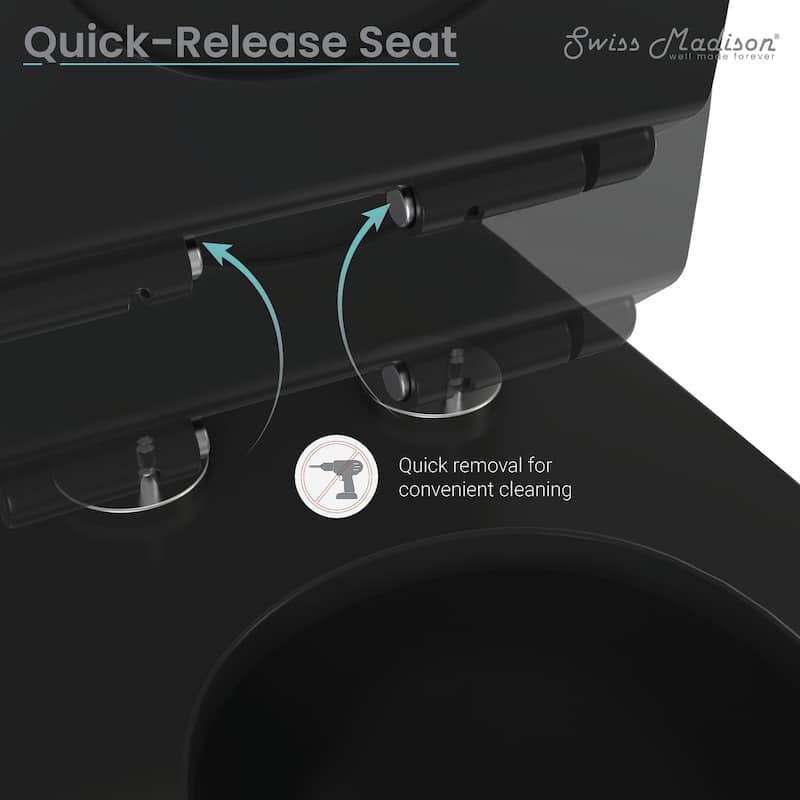 Carré One-Piece Square Toilet Dual-Flush 1.1/1.6 gpf with 10" Rough-In