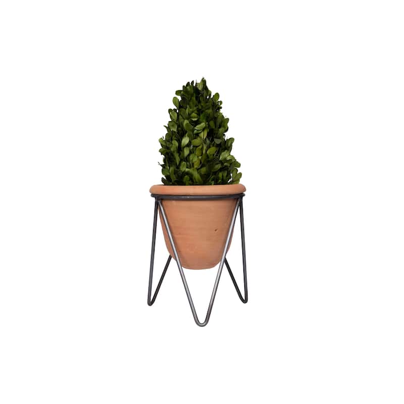 Terracotta Pot with Metal Stand