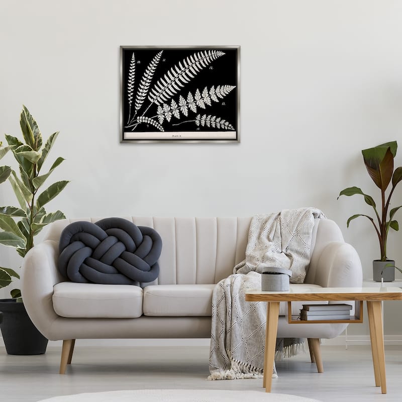 Stupell Fern Studies on Black Framed Floater Canvas Wall Art Design By Phillipa Katz