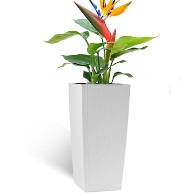 30 in Tall Flower Pots Planter with Self-Watering Drainage Holes&Inner Trays Indoor Outdoor with Drain Holes,Water Level Monitor