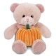 preview thumbnail 1 of 4, DolliBu Soft Baby Pink Bear Stuffed Animal with Pumpkin Plush Decor - 8 inches